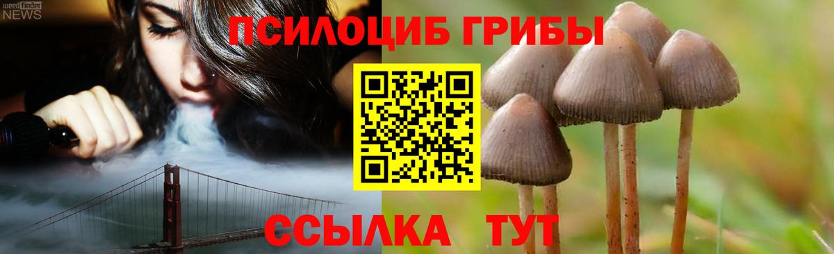 Корсаков  Галлюциногенные грибы MAGIC MUSHROOMS  Вход с VPN 